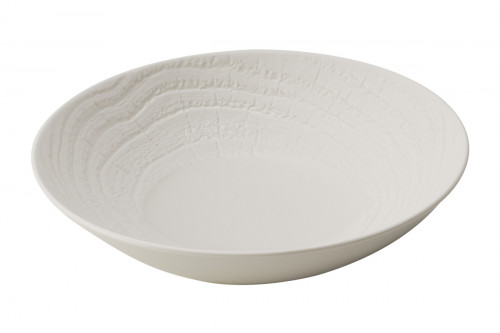 Assiette coupe creuse rond ivoire porcelaine culinaire Ø 27 cm Arborescence Revol