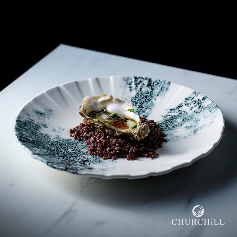 Assiette coupe creuse porcelaine vitrifiée Ø 27,1 cm Smoke Churchill